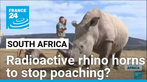 First radioactive rhino horns to curb poaching in South Africa